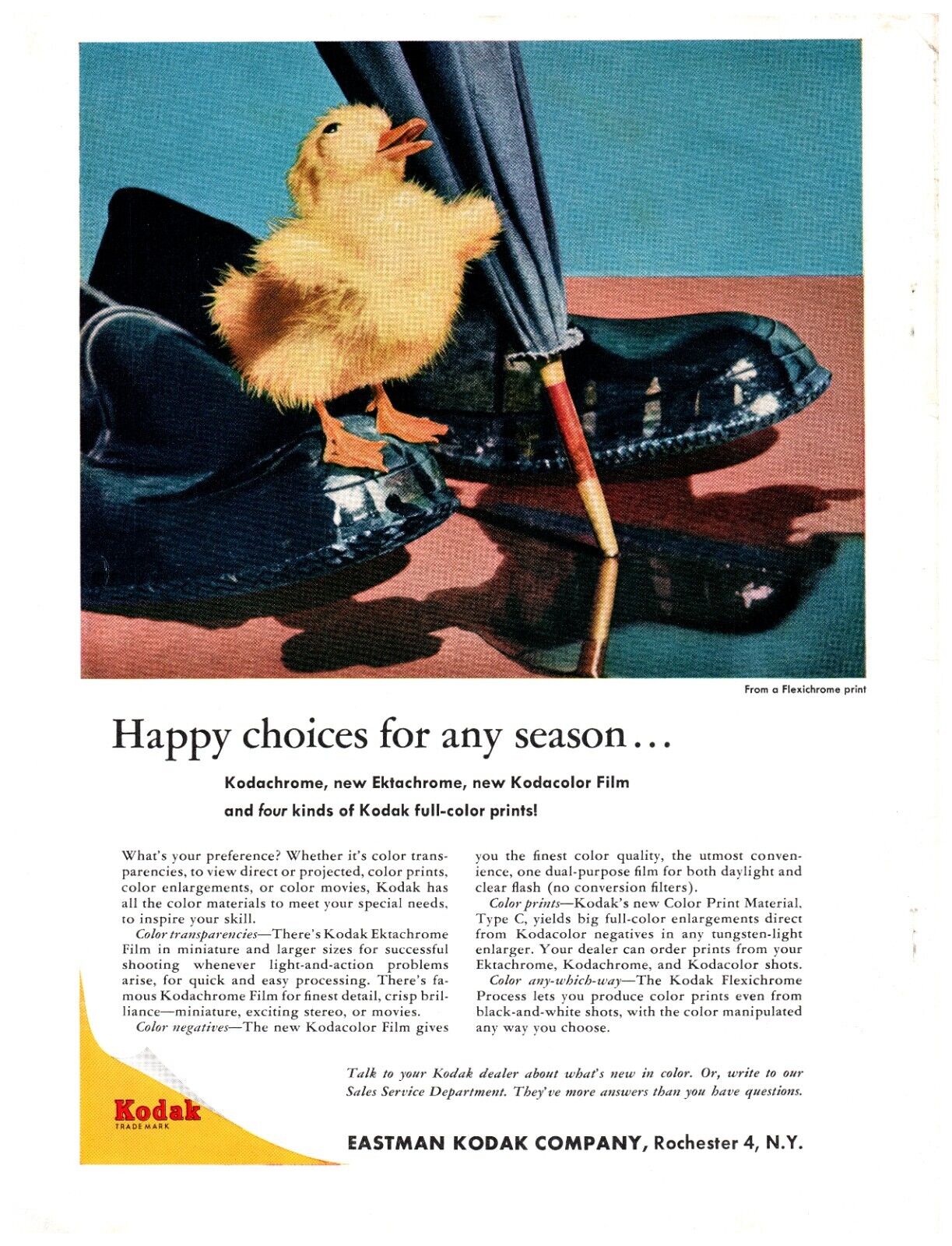5281755