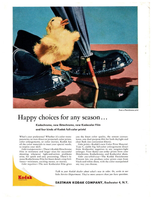 5281755
