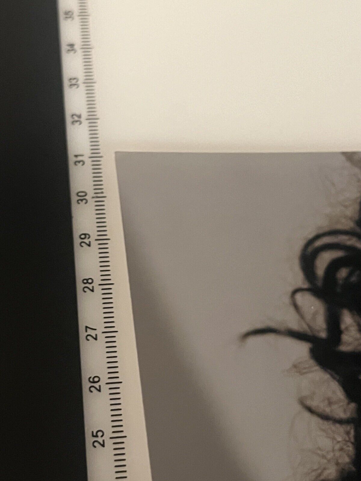5279245
