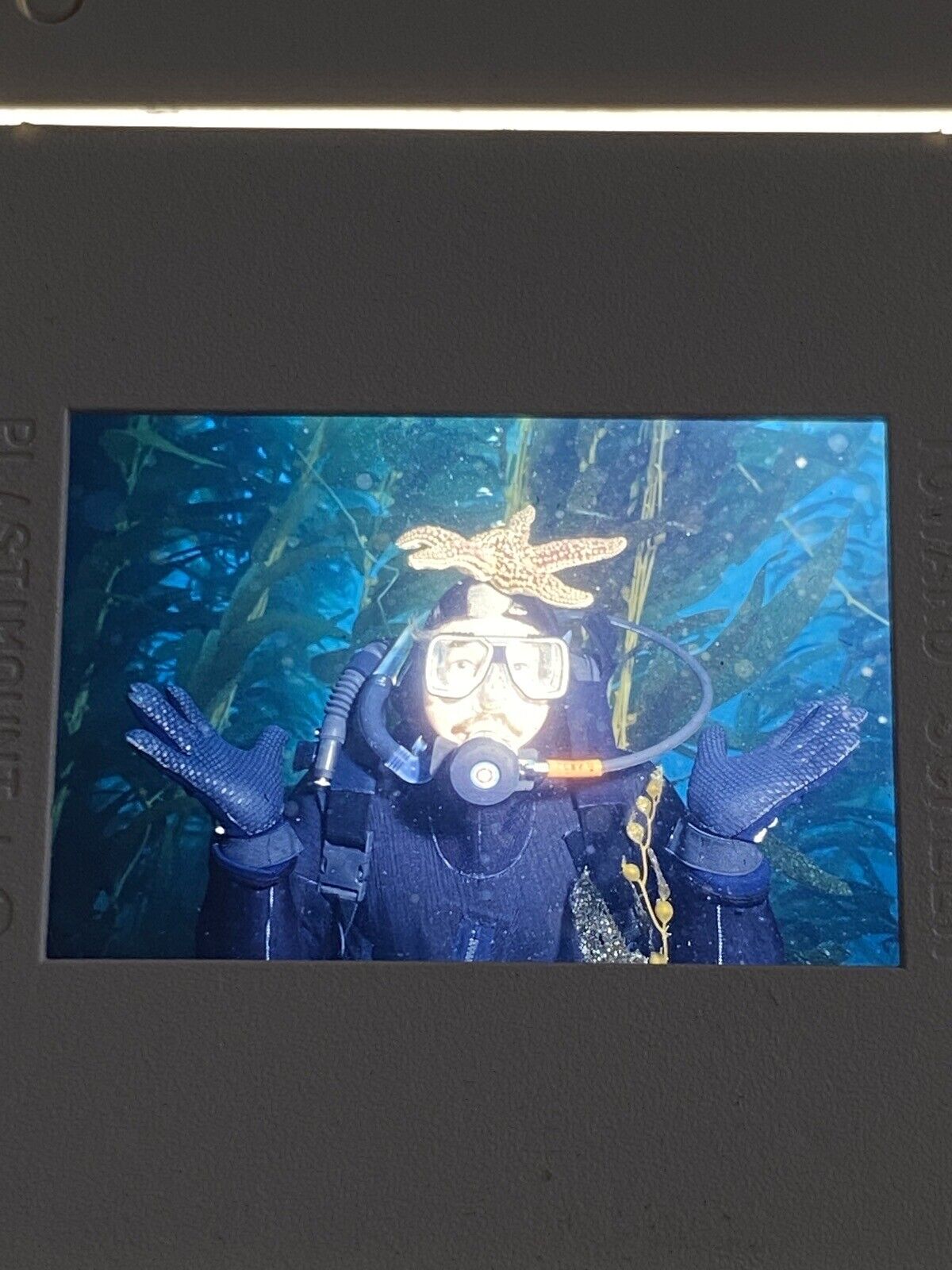 5276631