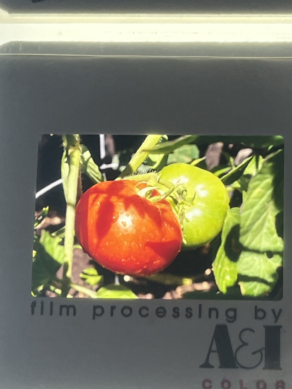 5276680