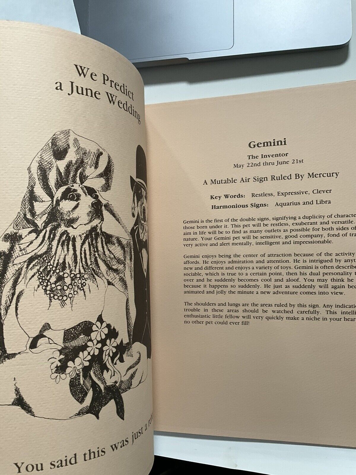 5285906