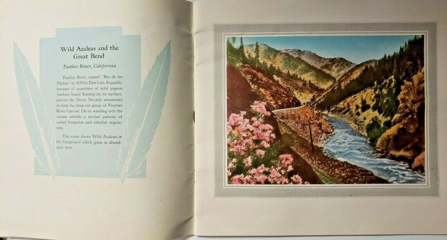 5280516