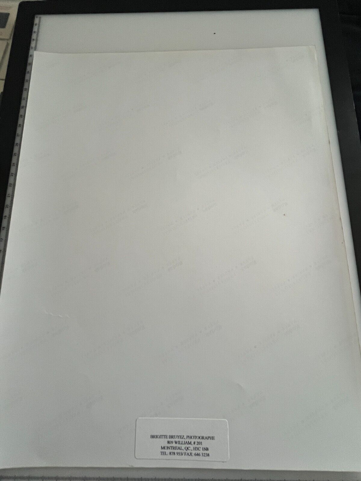 5541651