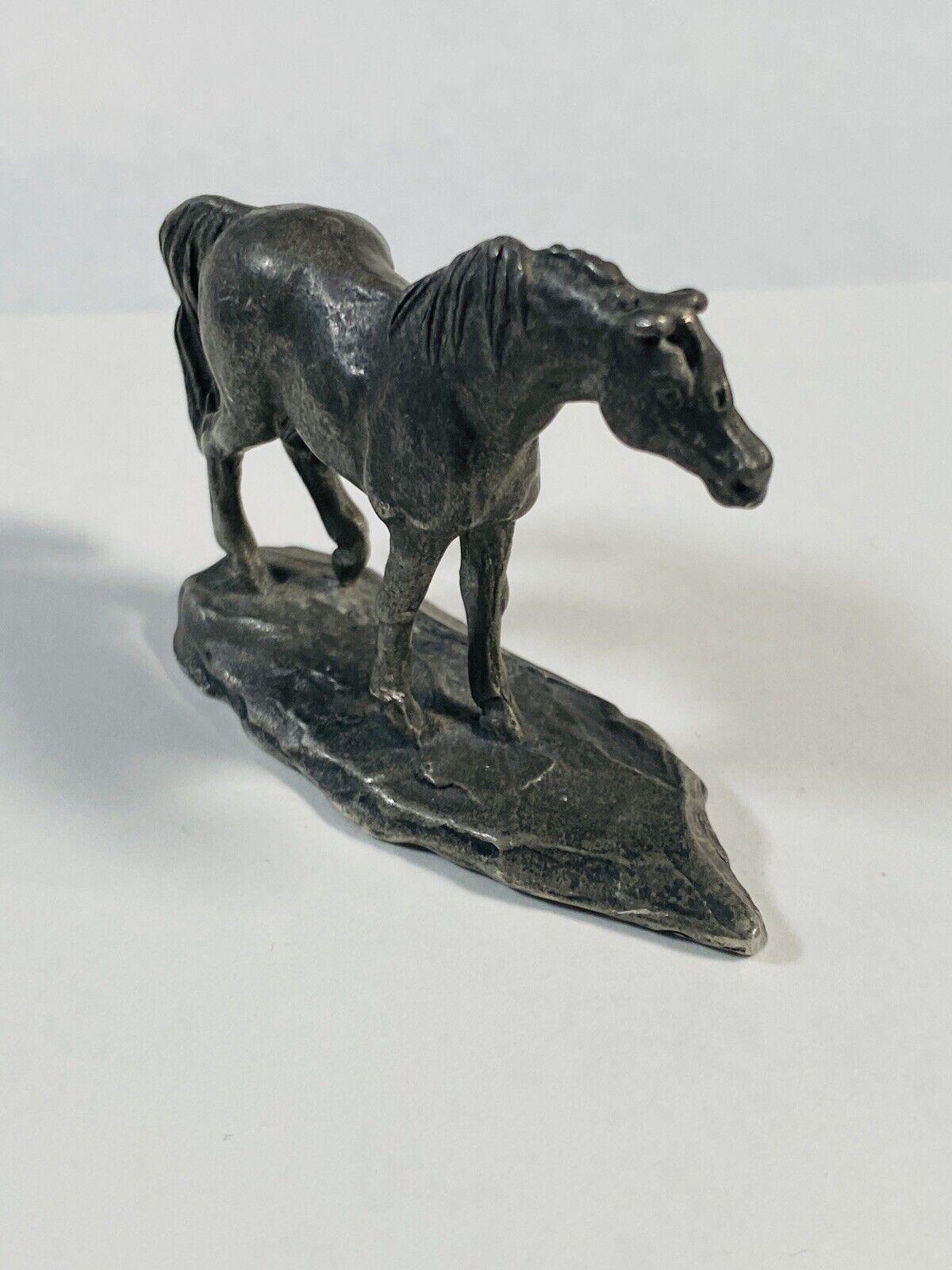 5541694